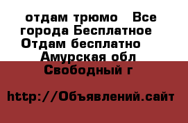 отдам трюмо - Все города Бесплатное » Отдам бесплатно   . Амурская обл.,Свободный г.